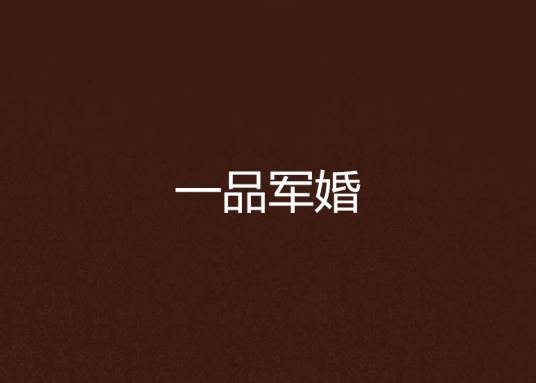 一品军婚
