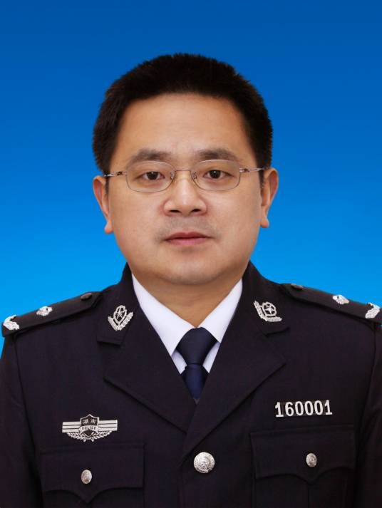 王学武(湖南省平安办主任)