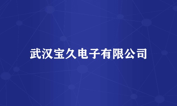 武汉宝久电子有限公司