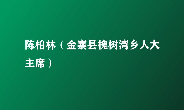 陈柏林（金寨县槐树湾乡人大主席）