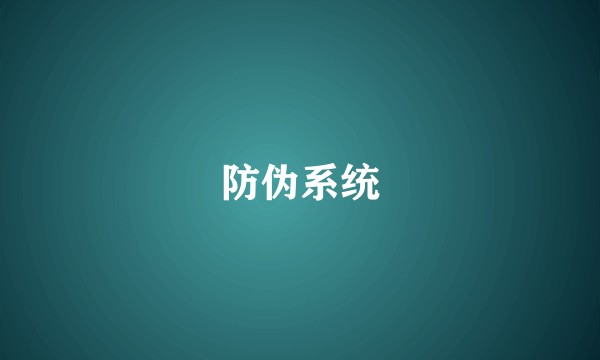 防伪系统