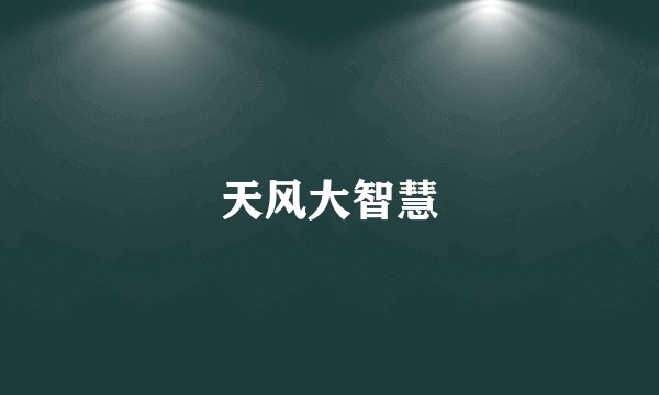 天风大智慧
