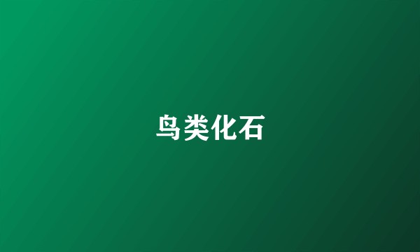 鸟类化石