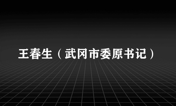 王春生（武冈市委原书记）