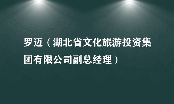 罗迈(湖北省文化旅游投资集团有限公司副总经理)