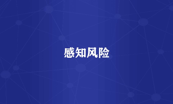 感知风险