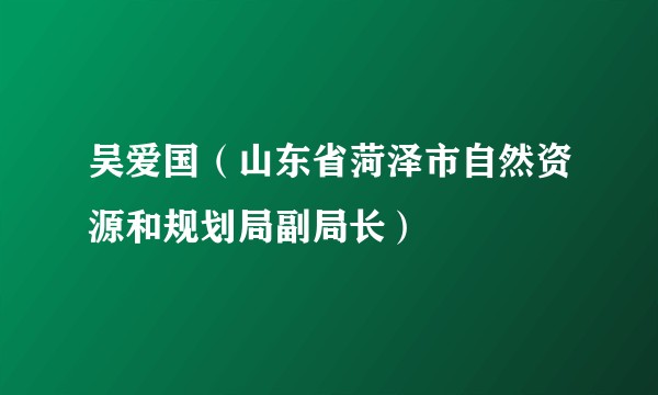 吴爱国（山东省菏泽市自然资源和规划局副局长）