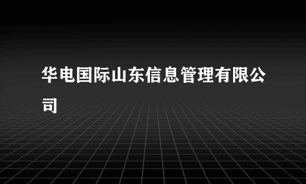 华电国际山东信息管理有限公司