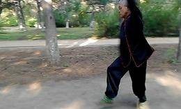 八极应手拳