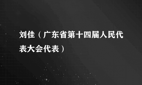 刘佳（广东省第十四届人民代表大会代表）