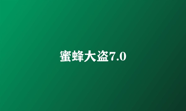 蜜蜂大盗7.0