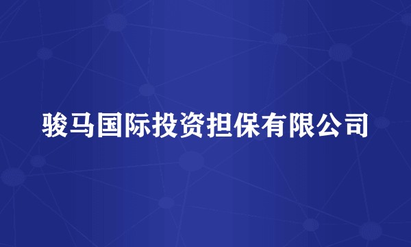 骏马国际投资担保有限公司