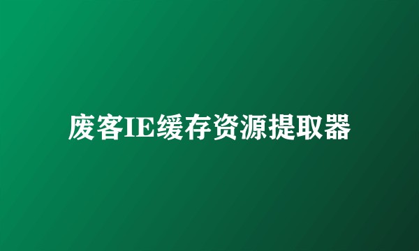 废客IE缓存资源提取器