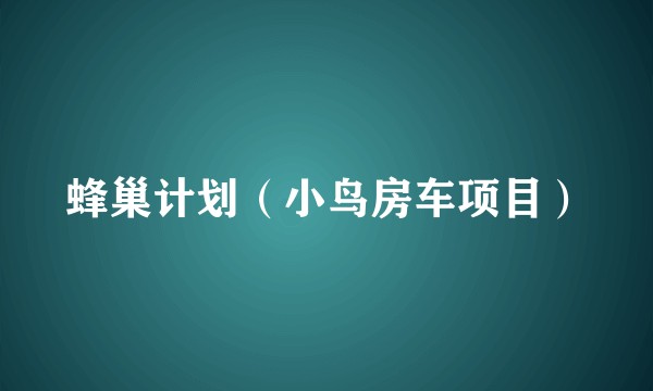 蜂巢计划（小鸟房车项目）
