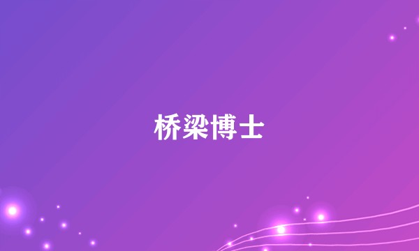 桥梁博士