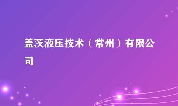 盖茨液压技术（常州）有限公司