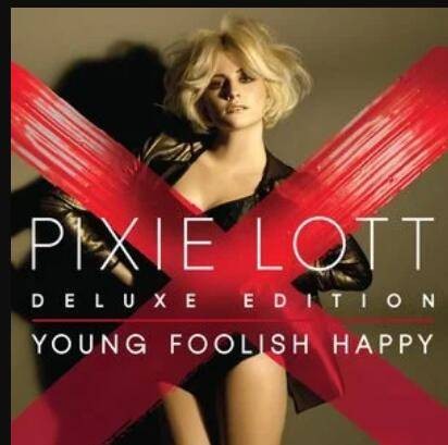 dancing on my own（Pixie Lott演唱歌曲）