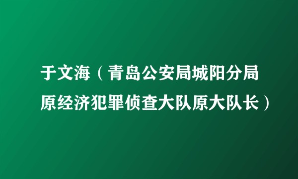 于文海（青岛公安局城阳分局原经济犯罪侦查大队原大队长）