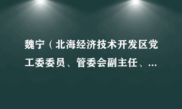 魏宁(北海经济技术开发区党工委委员、管委会副主任、工会主席)