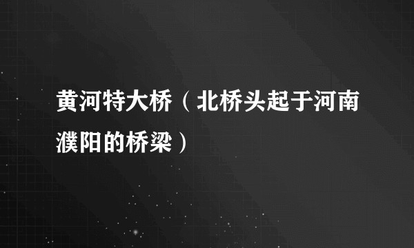 黄河特大桥（北桥头起于河南濮阳的桥梁）