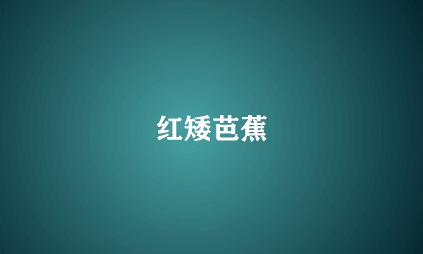 红矮芭蕉