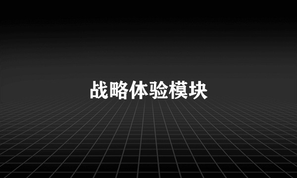 战略体验模块