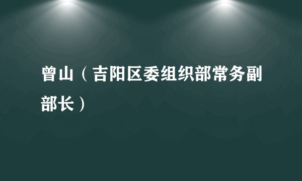 曾山（吉阳区委组织部常务副部长）