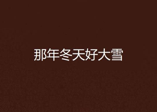 那年冬天好大雪