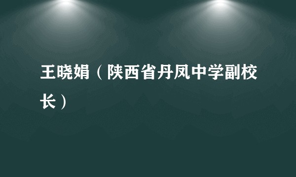 王晓娟(陕西省丹凤中学副校长)
