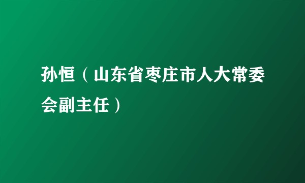 孙恒（山东省枣庄市人大常委会副主任）