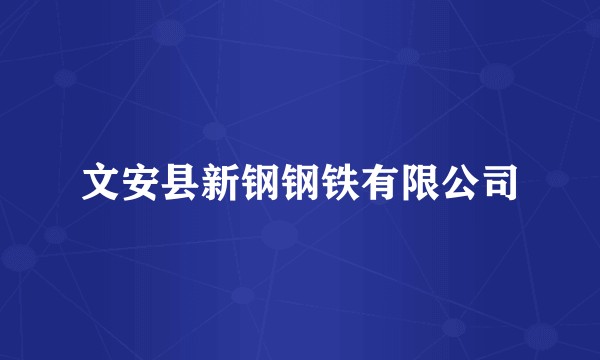 文安县新钢钢铁有限公司
