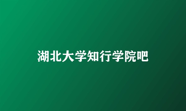 湖北大学知行学院吧