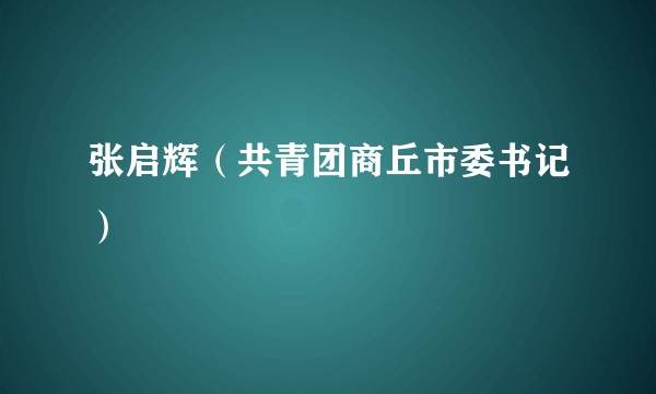 张启辉（共青团商丘市委书记）