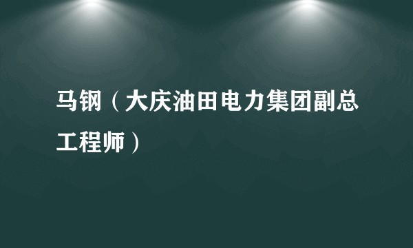 马钢（大庆油田电力集团副总工程师）