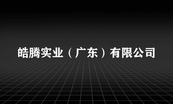 皓腾实业（广东）有限公司
