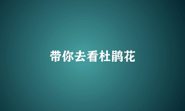 带你去看杜鹃花