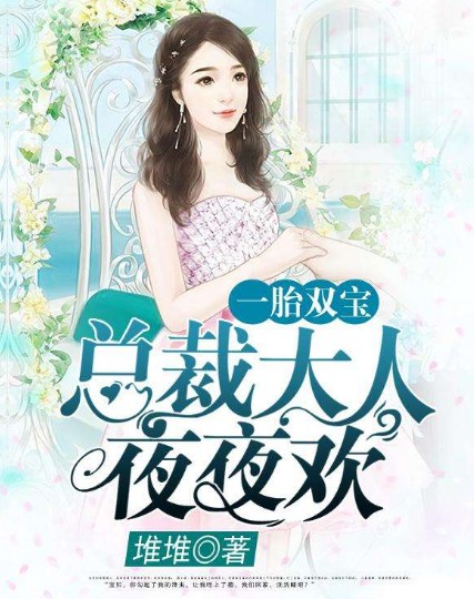 一胎双宝:总裁大人夜夜欢