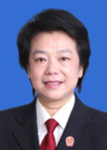 何莉(最高人民法院审判委员会委员、刑事审判第一庭庭长)
