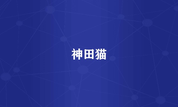 神田猫