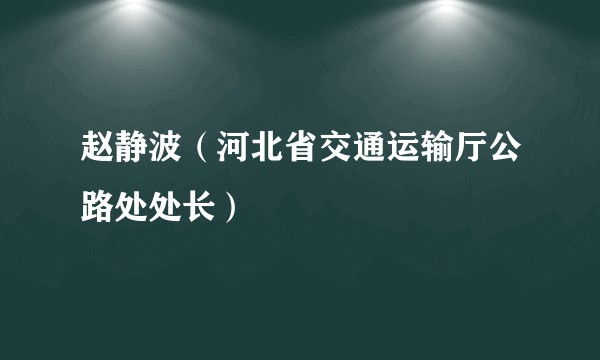 赵静波（河北省交通运输厅公路处处长）
