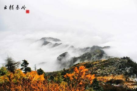 秦岭云横