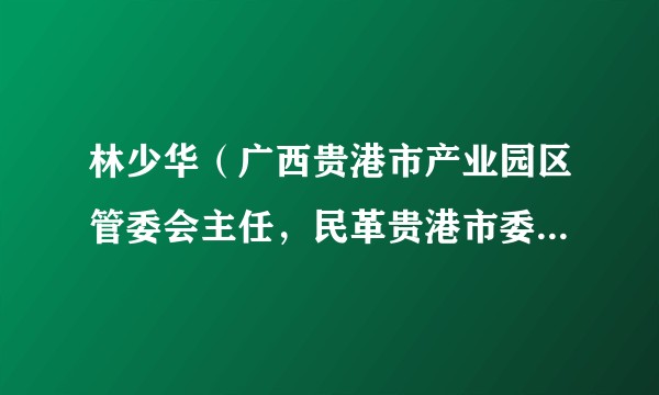 林少华(广西贵港市产业园区管委会主任,民革贵港市委会副主任委员(兼))