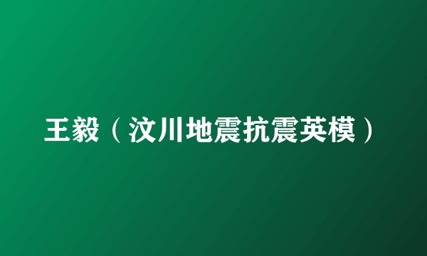 王毅（汶川地震抗震英模）