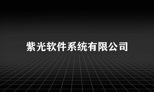 紫光软件系统有限公司