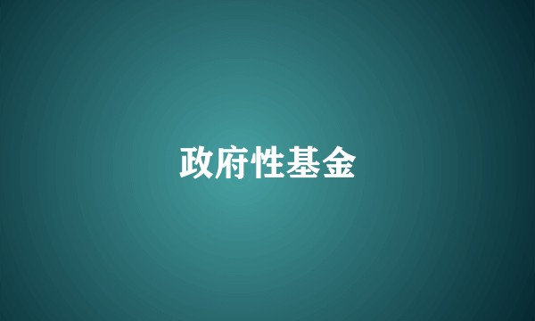 政府性基金
