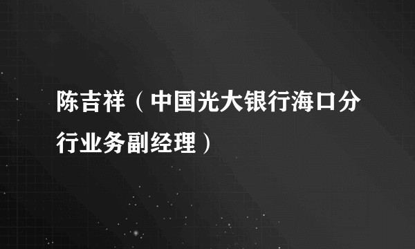 陈吉祥（中国光大银行海口分行业务副经理）