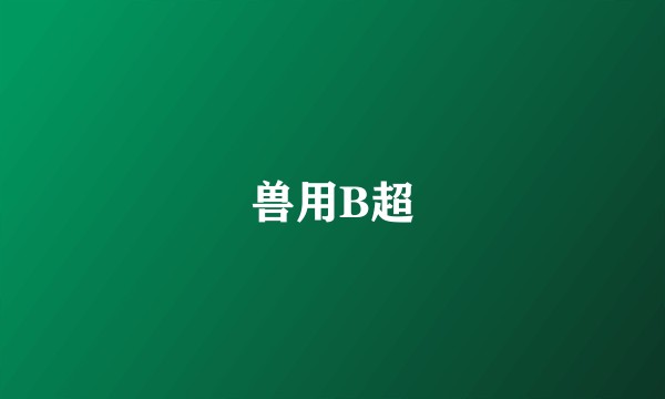 兽用B超