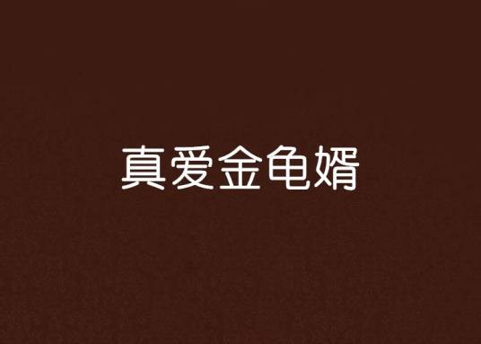 真爱金龟婿