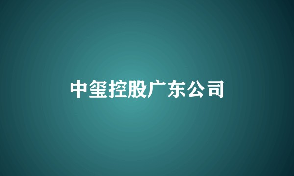 中玺控股广东公司