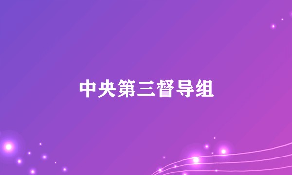 中央第三督导组